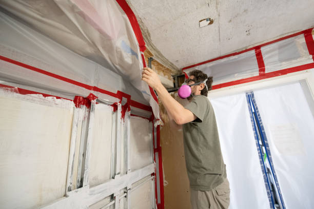 Best Emergency Mold Remediation  in Biscayne Park, FL