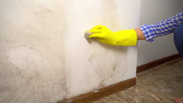 Best Mold-Related Health Consultation  in Biscayne Park, FL